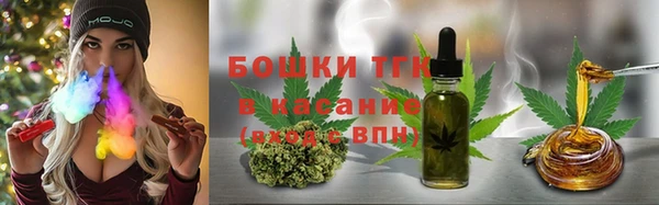 прущая мука Вяземский